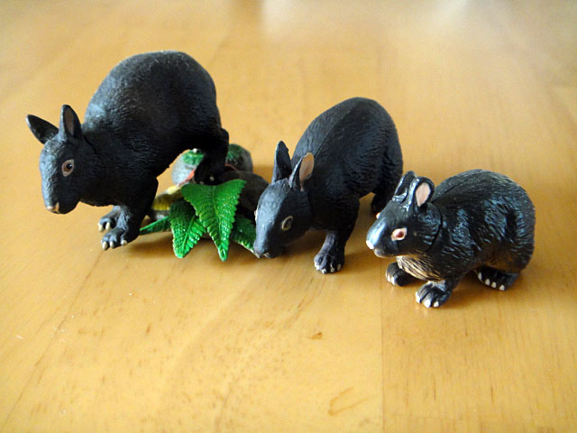 日本の動物コレクション２ アマミノクロウサギ: RabiDance 月夜の宴